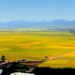 252c56904d2315366ca467ea0-600x284