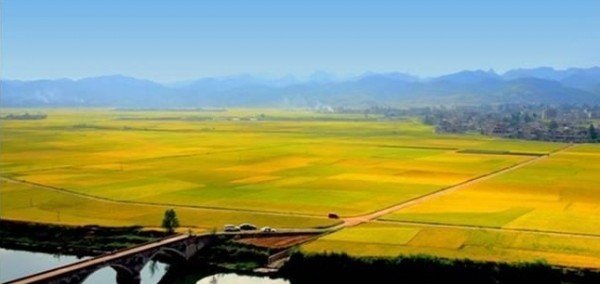 252c56904d2315366ca467ea0-600x284