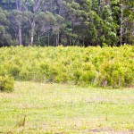 35f52eff1cd0dded7dfb9d739-600x450