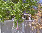 40896-profile-ceba3497bba74815b9c2dd779