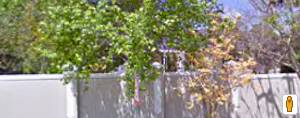 40896-profile-ceba3497bba74815b9c2dd779