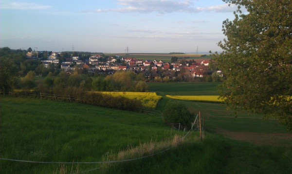 81681f171780668540111629d-600x358