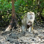 DSCN3236-600x450