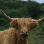 Holiday-Hostel-and-Farm-County-Donegal-279-1