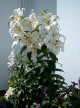 Holiday-Hostel-and-Farm-County-Donegal-279-5