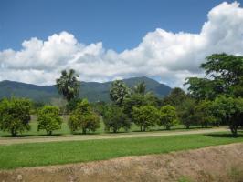 Property-Maintenance-Queensland-206-6
