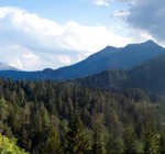 ca2ea3098dbbe936e75d1d369-600x140