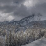 f432a7ae7e7b0d63606807c36-600x189