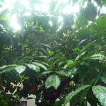 ffbafe97ef6bc092e0a54404a-600x450