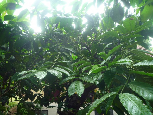 ffbafe97ef6bc092e0a54404a-600x450