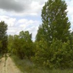 permaculturalfarm-Madrid-7964-1