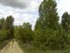 permaculturalfarm-Madrid-7964-1