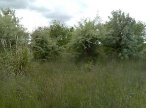 permaculturalfarm-Madrid-7964-2