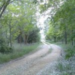 permaculturalfarm-Madrid-7964-4