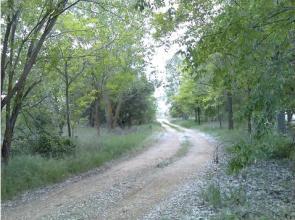 permaculturalfarm-Madrid-7964-4