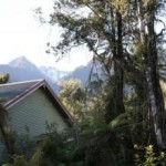 rainforest-retreat-West-Coast-7917-1