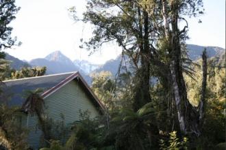 rainforest-retreat-West-Coast-7917-1