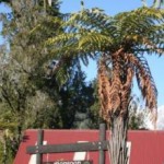rainforest-retreat-West-Coast-7917-2