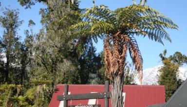 rainforest-retreat-West-Coast-7917-2