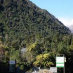 rainforest-retreat-West-Coast-7917-3
