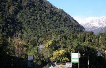rainforest-retreat-West-Coast-7917-3