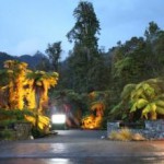 rainforest-retreat-West-Coast-7917-5