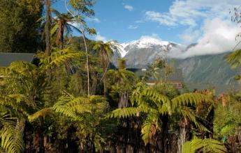 rainforest-retreat-West-Coast-7917-7