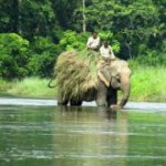 volunteer-Madhyamanchal-934-5