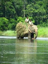 volunteer-Madhyamanchal-934-5