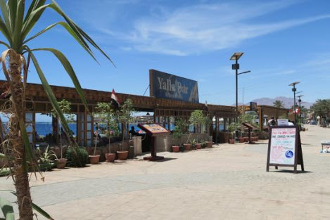 Help me to serve customers at my restaurant and get accommodation & food for free (Egypt, South Sinai, Dahab)