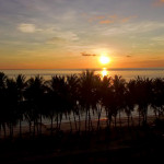 Help me to clean up with camping in the tiny island