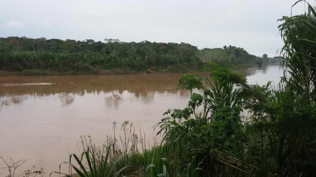 Area de conservacion Bahuaja