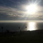 Help me with my music studio and stay in LA!