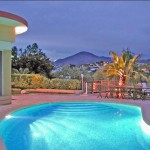 Luxurious Villa CLEMENT
