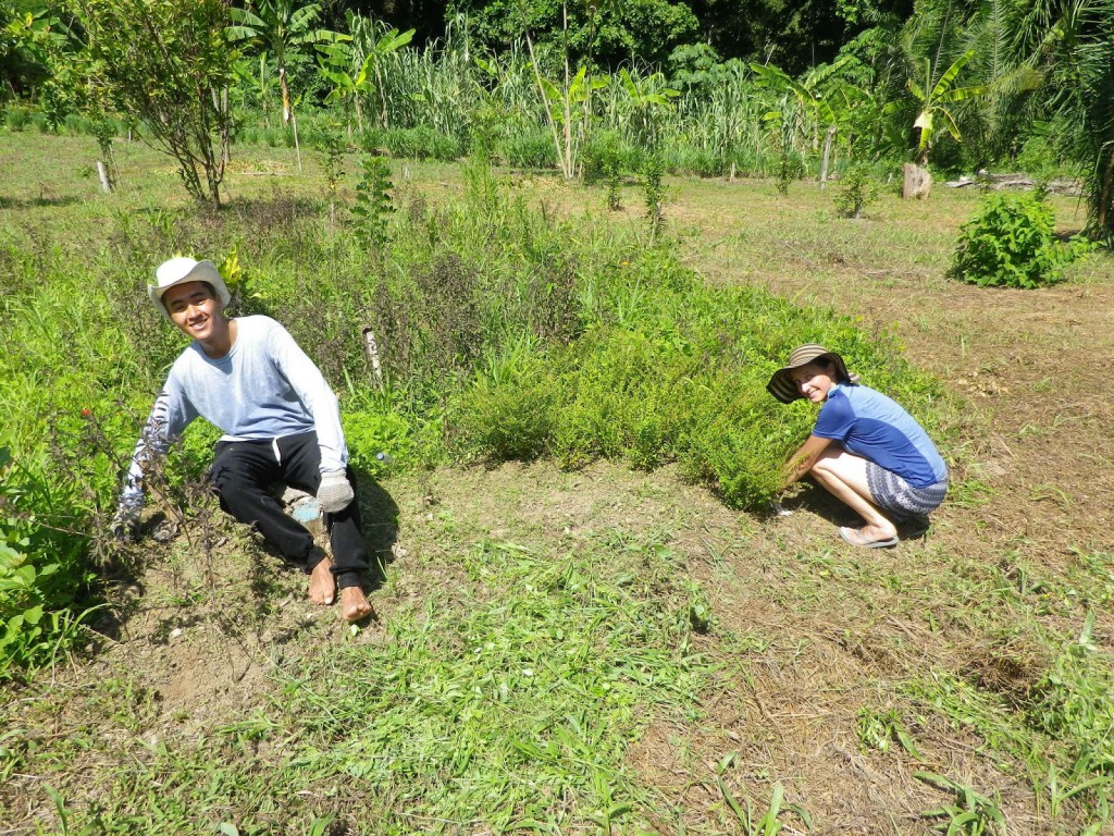 Volunteering at Goloka Eco Yoga Aldea and enlarge your knowledge about sustainable activities.