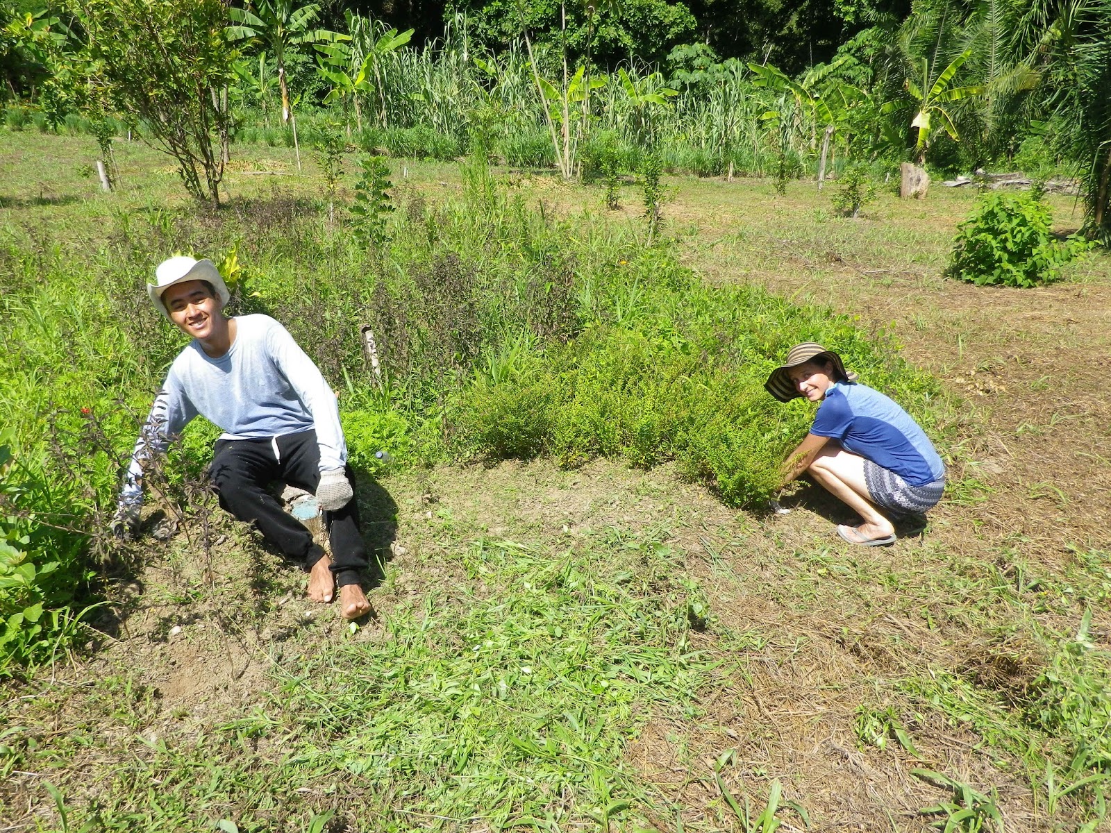Volunteering at Goloka Eco Yoga Aldea and enlarge your knowledge about sustainable activities.