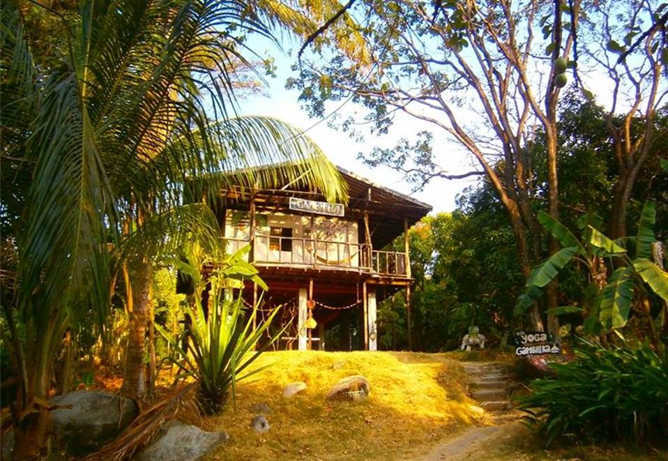 Volunteering at Gambhira Eco Yoga Aldea and enlarge your knowledge about sustainable activities like permaculture, forestry, bio construction, ecotourism, vegetarian / vegan cuisine, art, yoga retreats and more