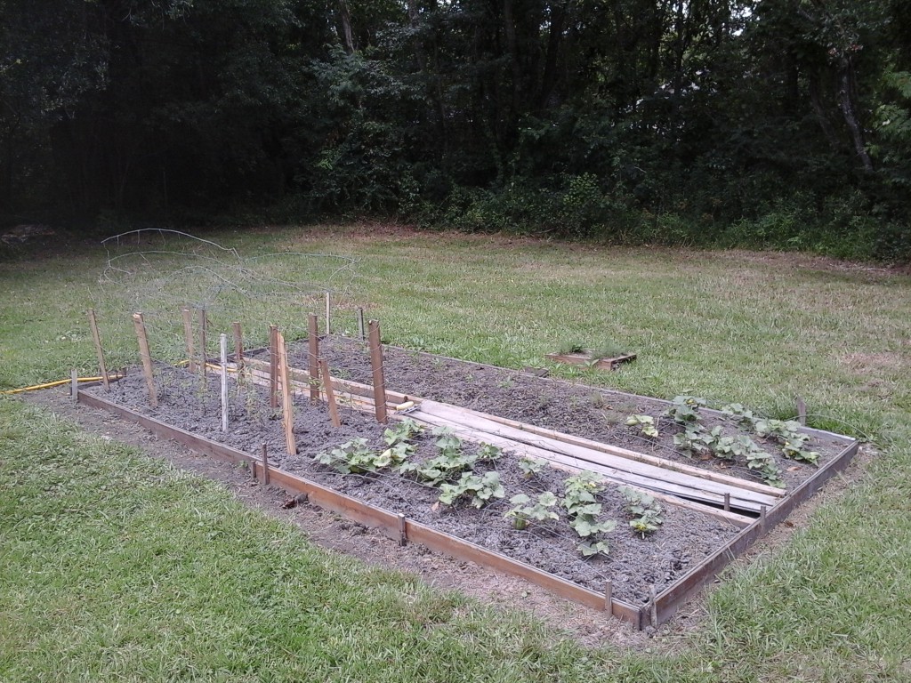 Help promote a sports bar/restaurant, do some gardening or fix up an old house