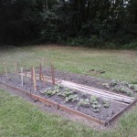 Help promote a sports bar/restaurant, do some gardening or fix up an old house