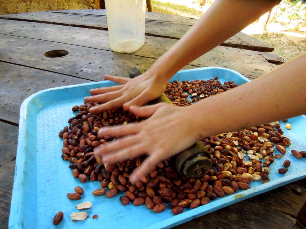 Volunteering at Gambhira Eco Yoga Aldea and enlarge your knowledge about sustainable activities like permaculture, forestry, bio construction, ecotourism, vegetarian / vegan cuisine, art, yoga retreats and more