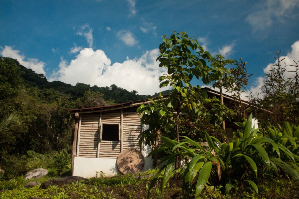 Volunteering at Goloka Eco Yoga Aldea and enlarge your knowledge about sustainable activities.