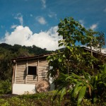 Volunteering at Goloka Eco Yoga Aldea and enlarge your knowledge about sustainable activities.