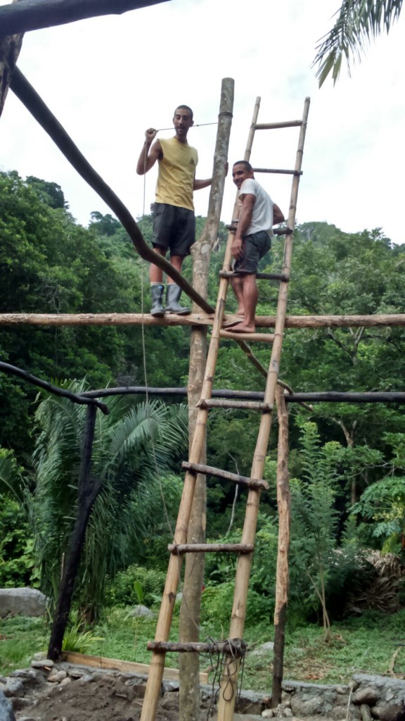 Volunteering at Goloka Eco Yoga Aldea and enlarge your knowledge about sustainable activities.
