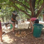 Volunteering at Gambhira Eco Yoga Aldea and enlarge your knowledge about sustainable activities like permaculture, forestry, bio construction, ecotourism, vegetarian / vegan cuisine, art, yoga retreats and more