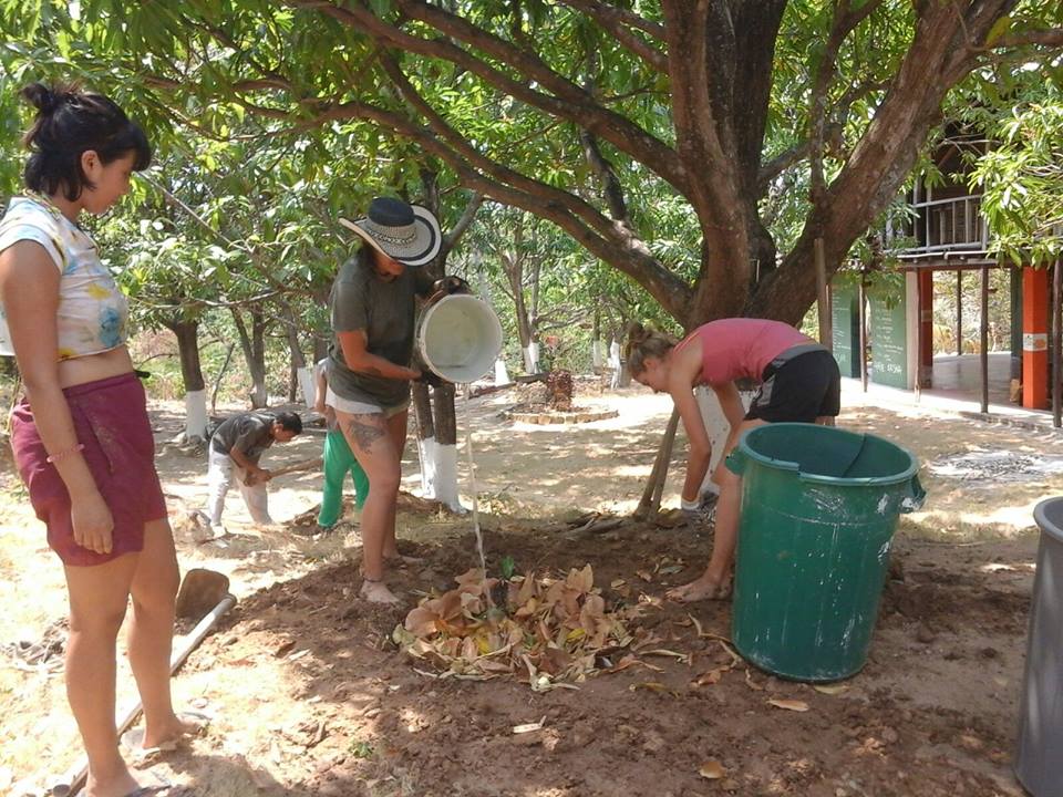 Volunteering at Gambhira Eco Yoga Aldea and enlarge your knowledge about sustainable activities like permaculture, forestry, bio construction, ecotourism, vegetarian / vegan cuisine, art, yoga retreats and more