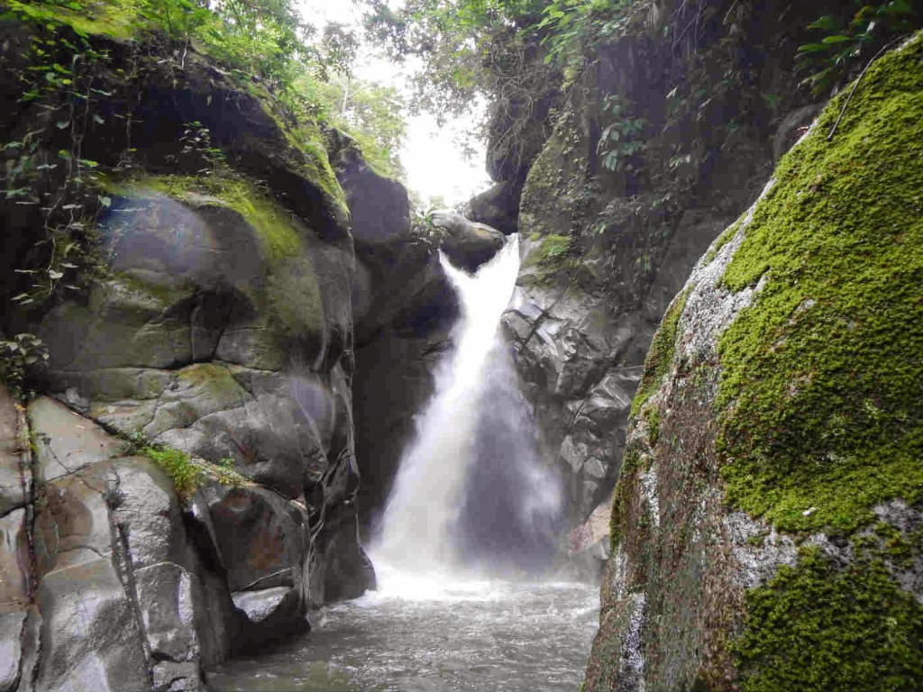 Volunteering at Goloka Eco Yoga Aldea and enlarge your knowledge about sustainable activities.