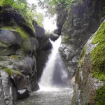 Volunteering at Goloka Eco Yoga Aldea and enlarge your knowledge about sustainable activities.