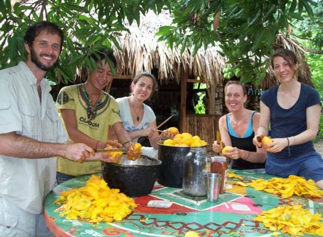 Volunteering at Gambhira Eco Yoga Aldea and enlarge your knowledge about sustainable activities like permaculture, forestry, bio construction, ecotourism, vegetarian / vegan cuisine, art, yoga retreats and more