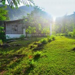 Volunteering at Goloka Eco Yoga Aldea and enlarge your knowledge about sustainable activities.