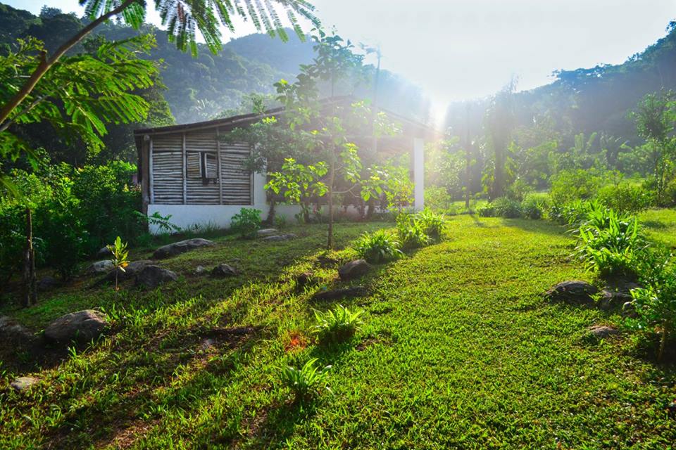Volunteering at Goloka Eco Yoga Aldea and enlarge your knowledge about sustainable activities.